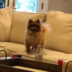 Meet your Posher, Jordan